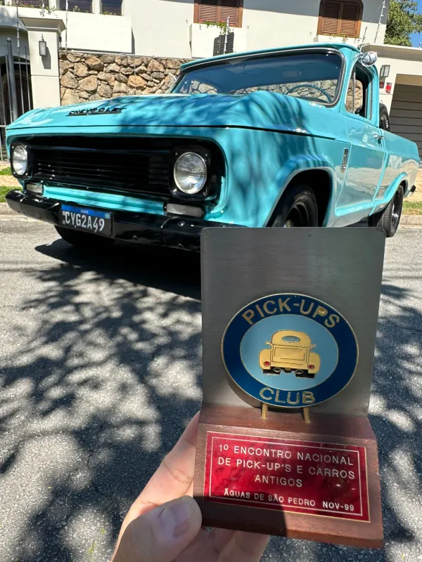 avv-chevrolet-c10-6cc-venda-wzzwd8f-imagem-006
