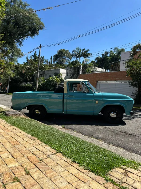 avv-chevrolet-c10-6cc-venda-wzzwd8f-imagem-018