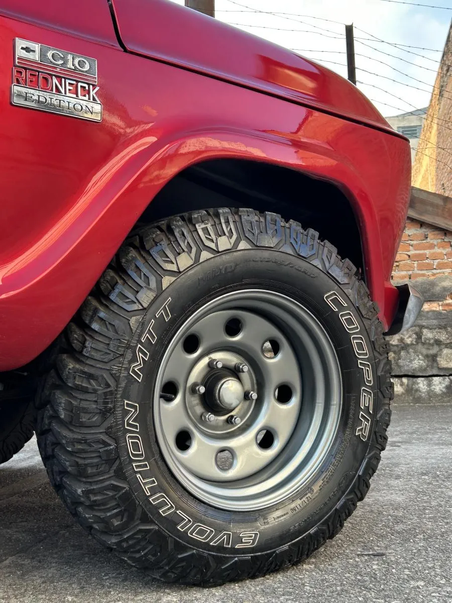 avv-chevrolet-c10-red-neck-venda-sisrsie-imagem-004