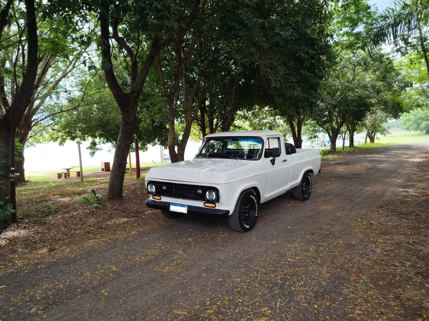 avv-chevrolet-d10-perkins-4236-turbo-venda-d9bdks4-imagem-001