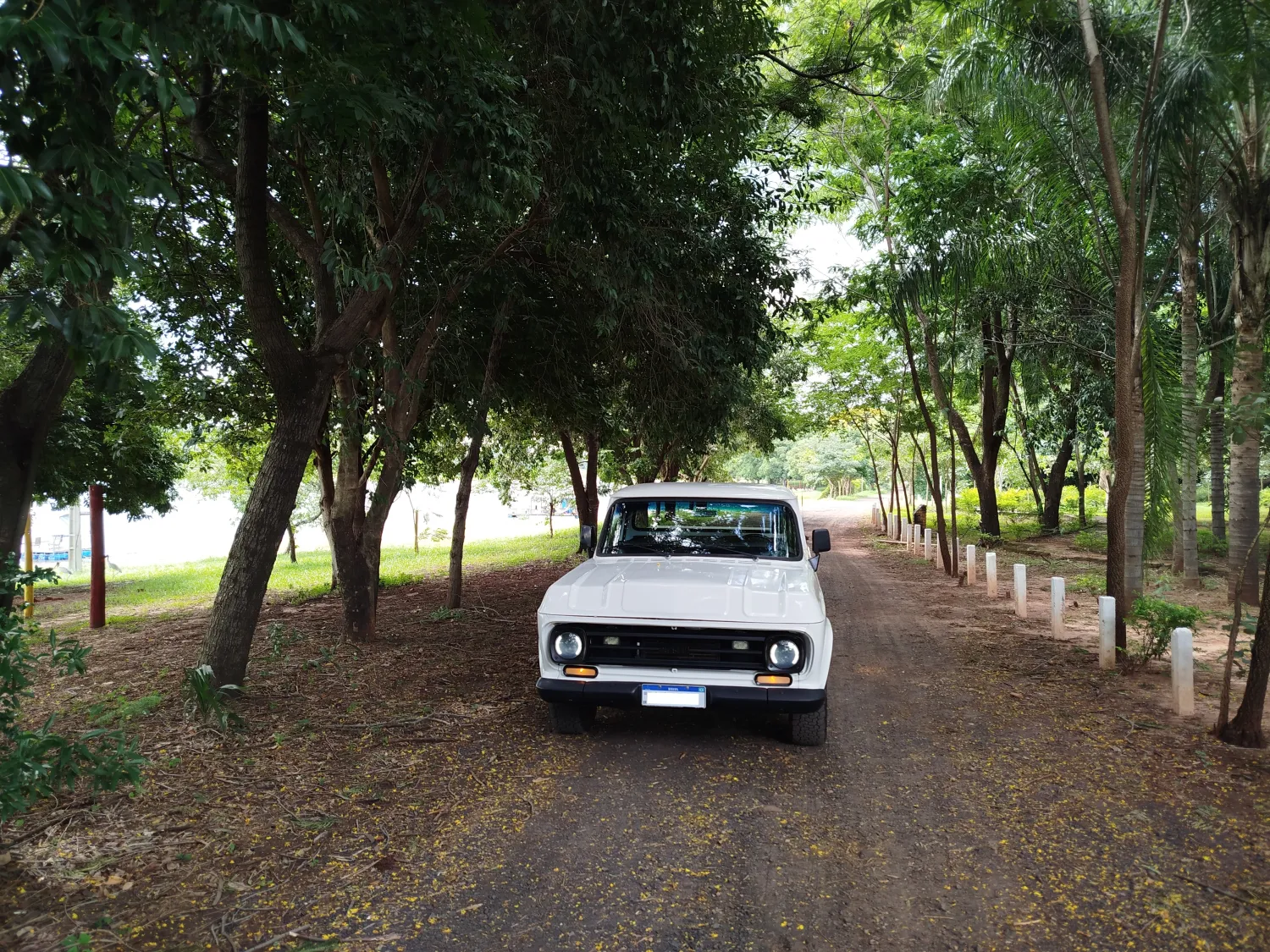 avv-chevrolet-d10-perkins-4236-turbo-venda-d9bdks4-imagem-002