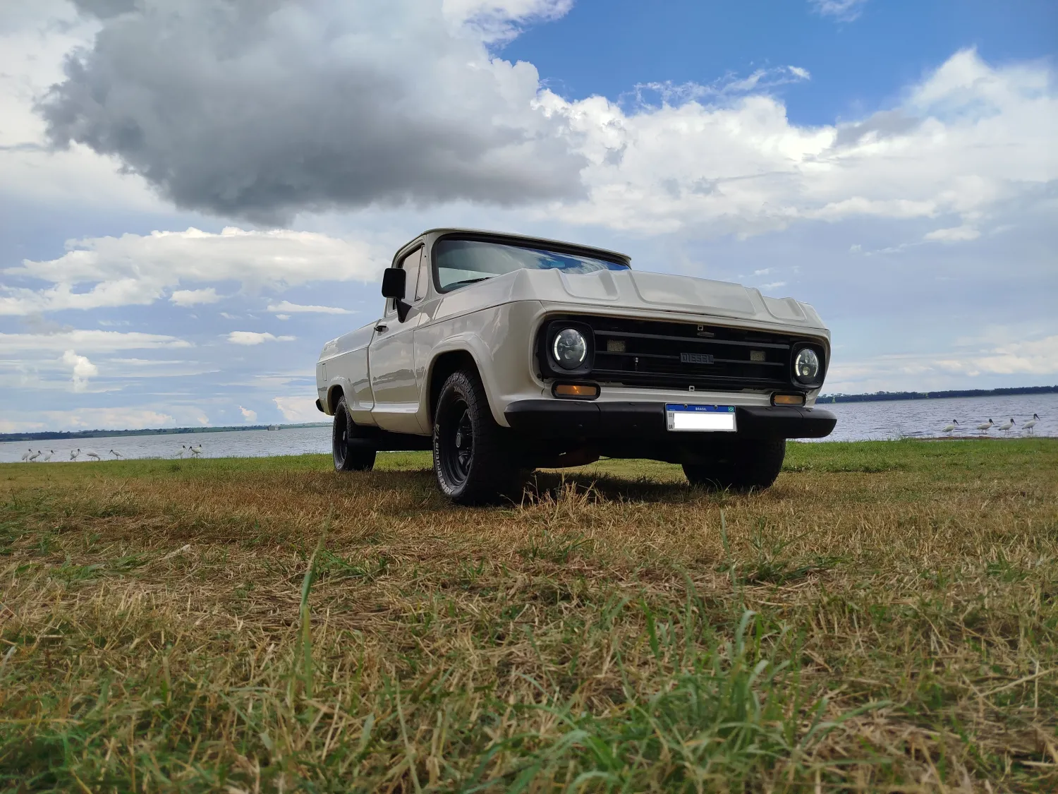 avv-chevrolet-d10-perkins-4236-turbo-venda-d9bdks4-imagem-003
