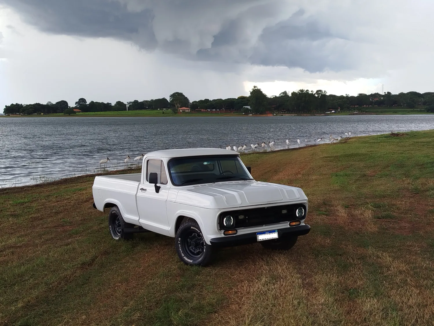 avv-chevrolet-d10-perkins-4236-turbo-venda-d9bdks4-imagem-005