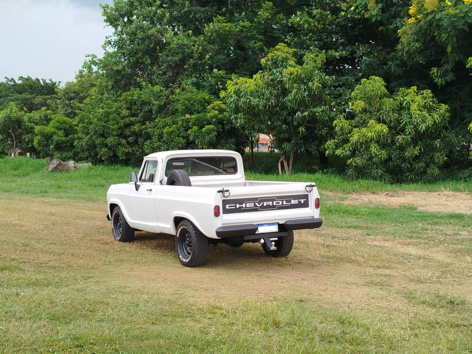 avv-chevrolet-d10-perkins-4236-turbo-venda-d9bdks4-imagem-008