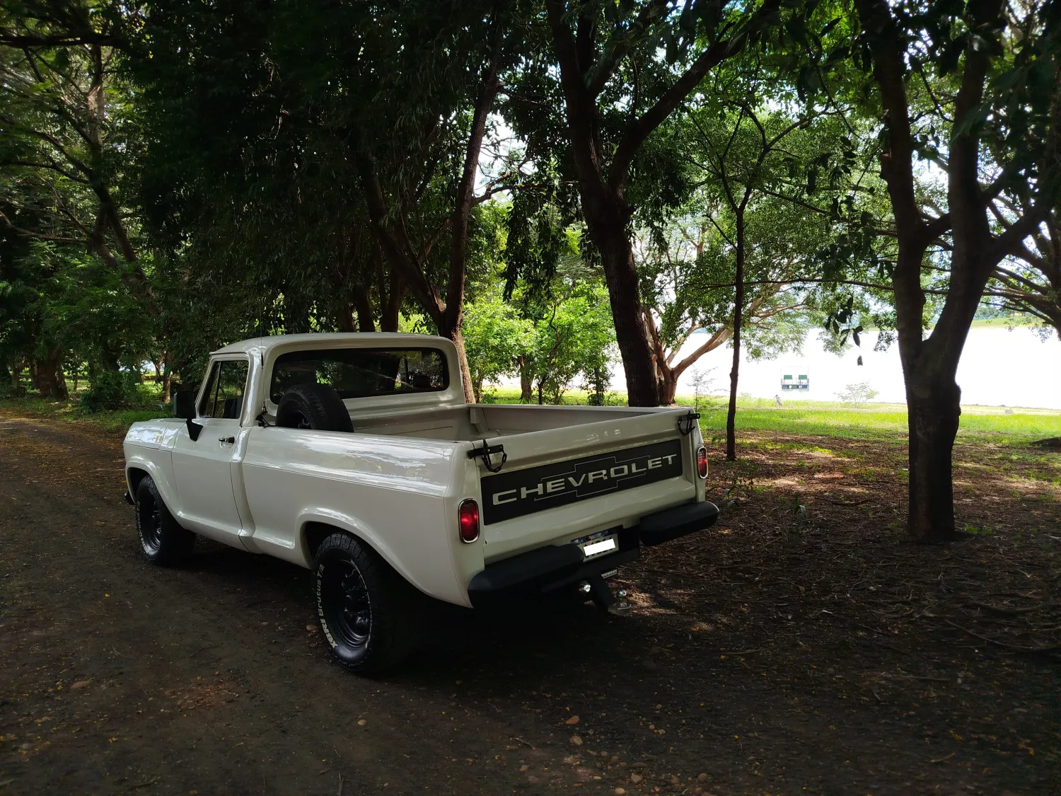 avv-chevrolet-d10-perkins-4236-turbo-venda-d9bdks4-imagem-010