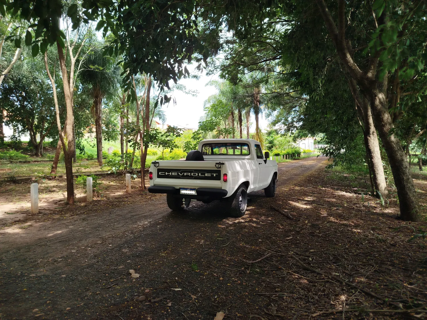 avv-chevrolet-d10-perkins-4236-turbo-venda-d9bdks4-imagem-011