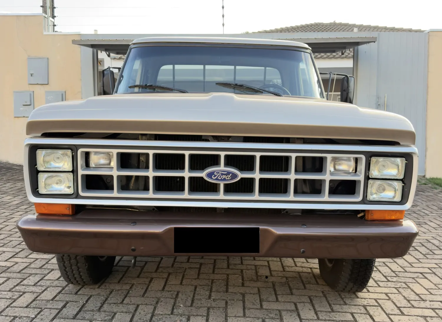 avv-ford-f1000-f-1000-cs-3-9-venda-sipsl7u-imagem-003
