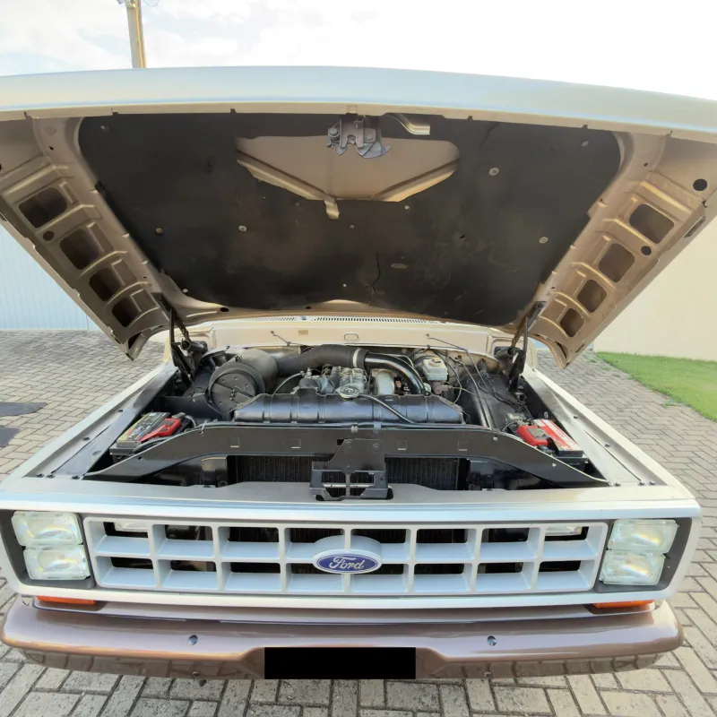 avv-ford-f1000-f-1000-cs-3-9-venda-sipsl7u-imagem-017