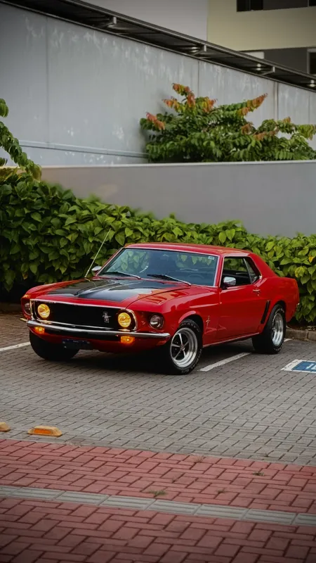 avv-ford-mustang-venda-af79189-imagem-001