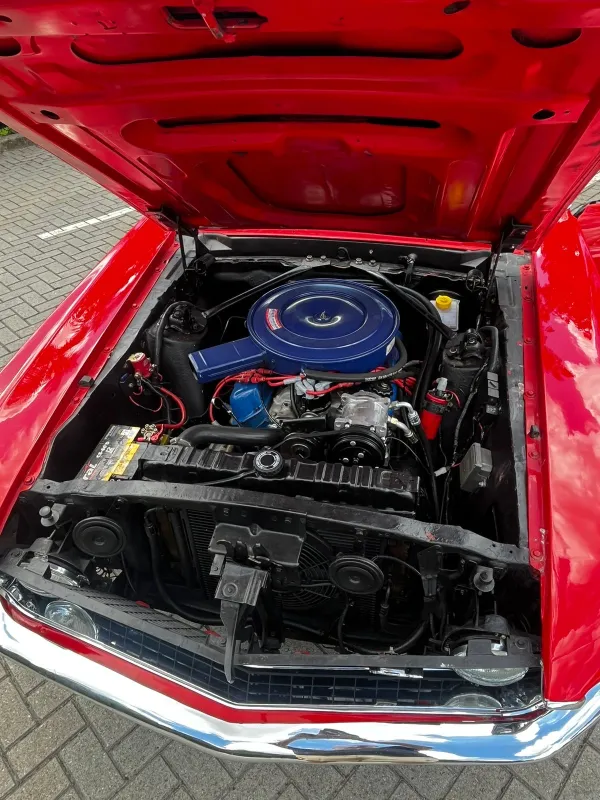 avv-ford-mustang-venda-af79189-imagem-010