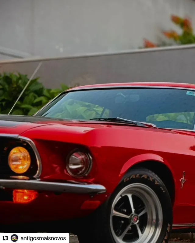 avv-ford-mustang-venda-af79189-imagem-014