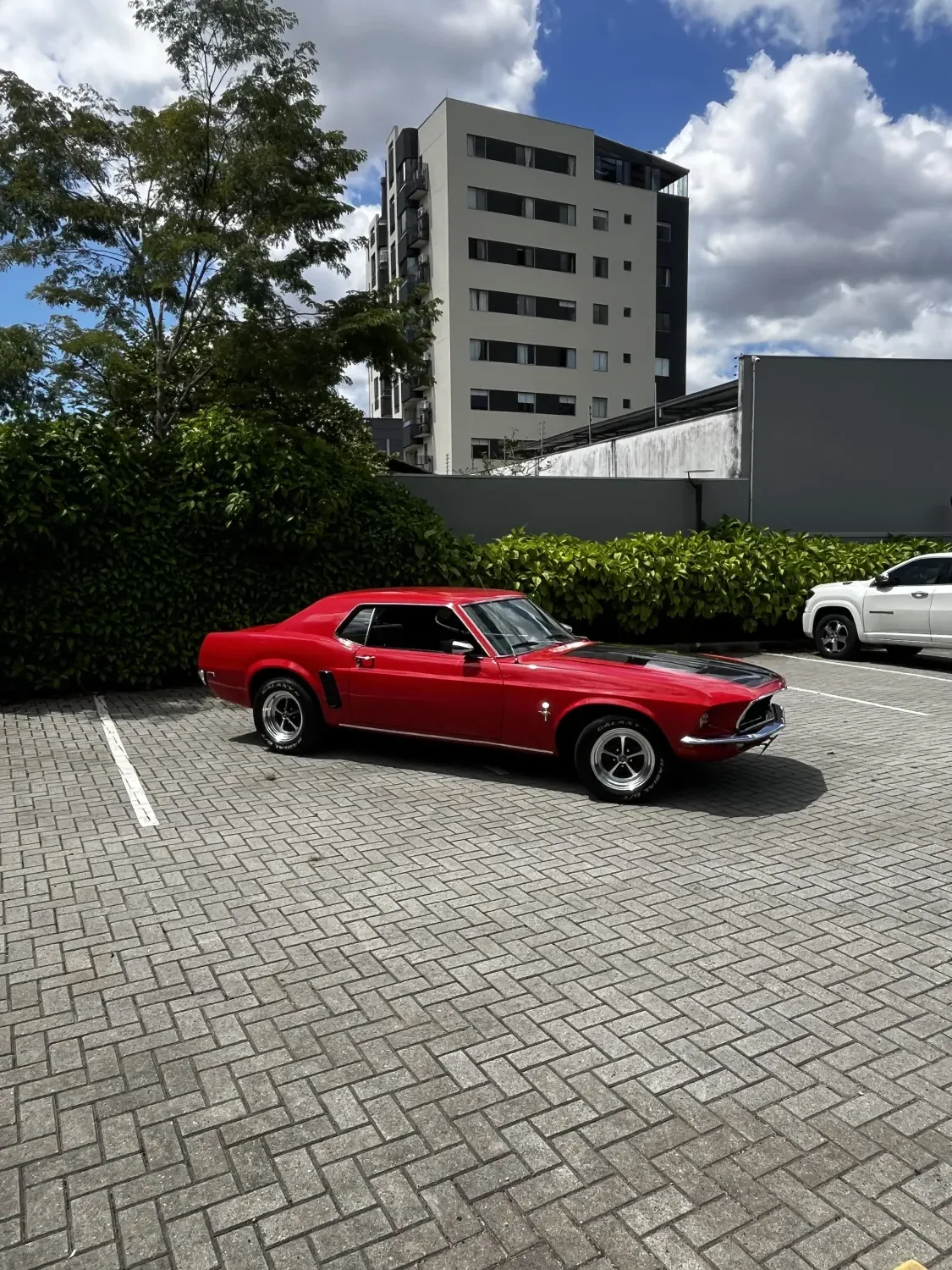 avv-ford-mustang-venda-af79189-imagem-022