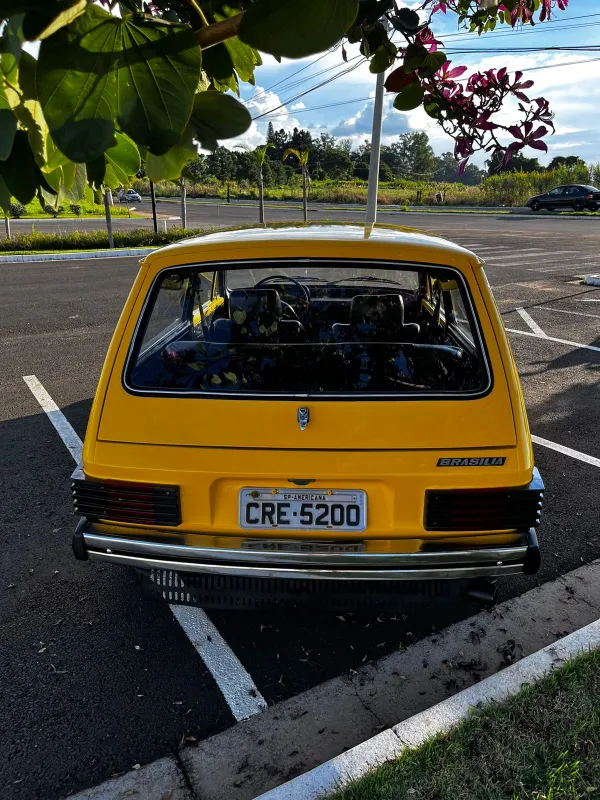 avv-volkswagen-brasliavenda-433fn5b-imagem-003