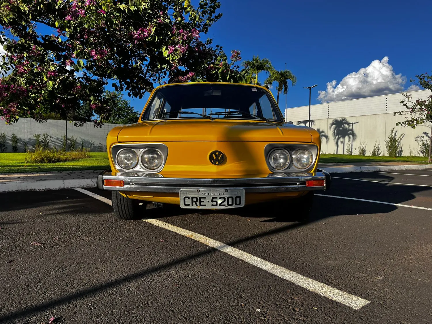 avv-volkswagen-brasliavenda-433fn5b-imagem-005