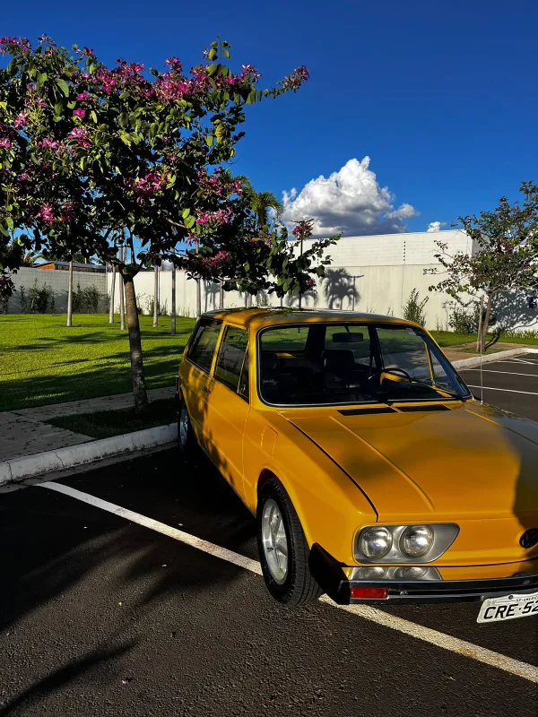 avv-volkswagen-brasliavenda-433fn5b-imagem-011