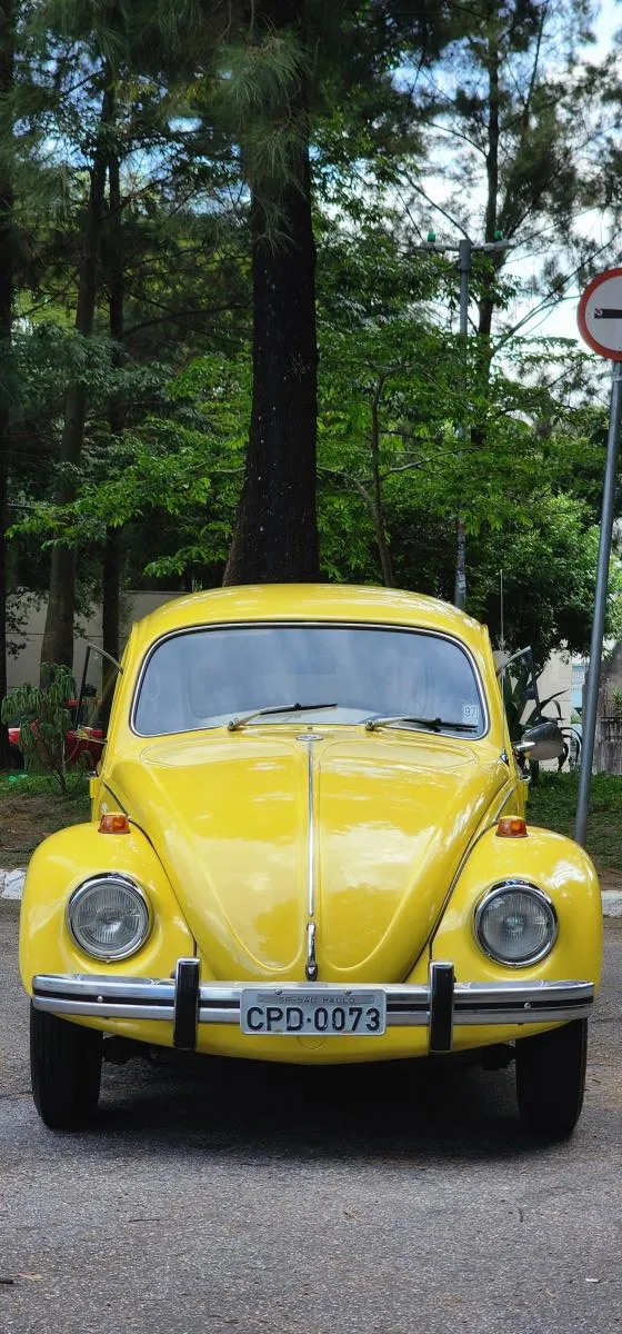 avv-volkswagen-fusca-fusca-bravo-1500-venda-0v5sajm-imagem-019